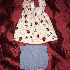 Lady bug girl set